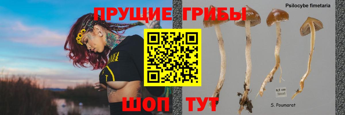 Бахчисарай  Галлюциногенные грибы Psilocybine cubensis  Галлюциногенные грибы мицелий  Вход с VPN 